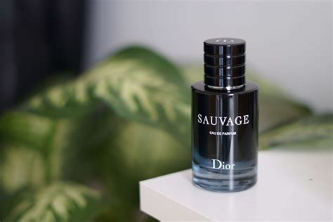 dior sauvage bewertung frauen|which dior sauvage is best.